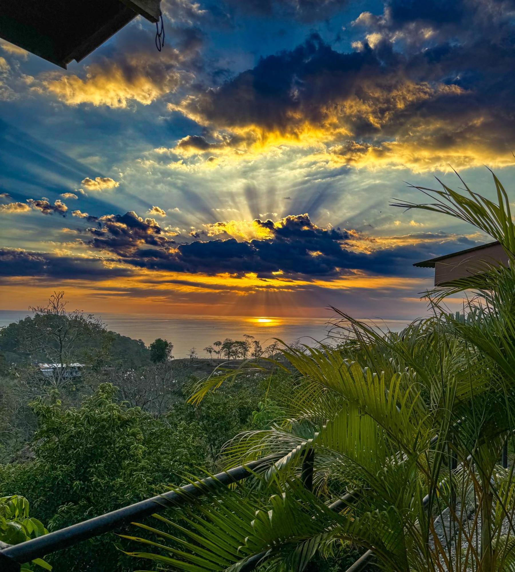 Pura Natura Lodge Manuel Antonio Exterior foto